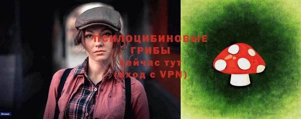 мдма Краснослободск