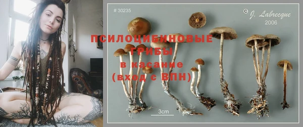 мдма Краснослободск