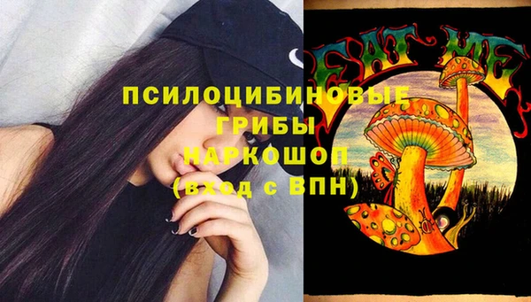 мдма Краснослободск