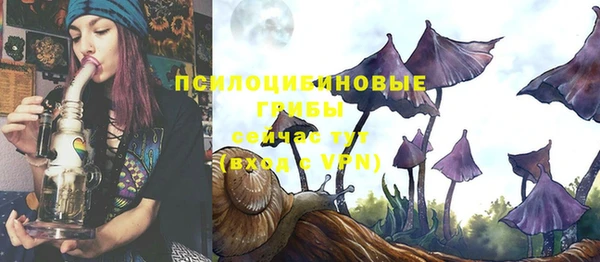 мдма Краснослободск