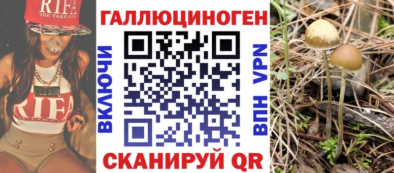 Купить где  Ишимбай  Псилоцибиновые грибы ЛСД 